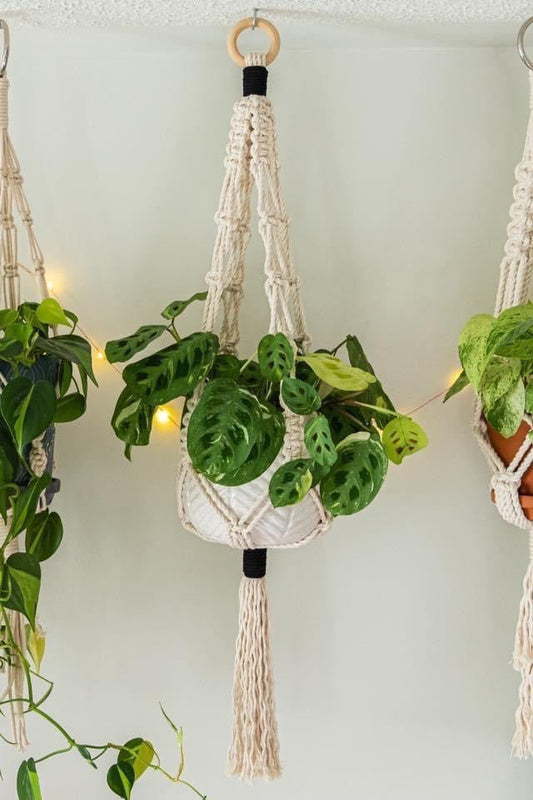 Single Macrame Plant Hanger