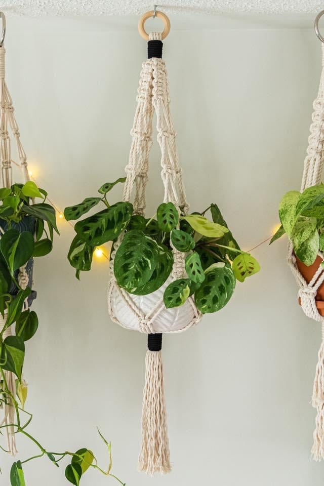 Single Macrame Plant Hanger