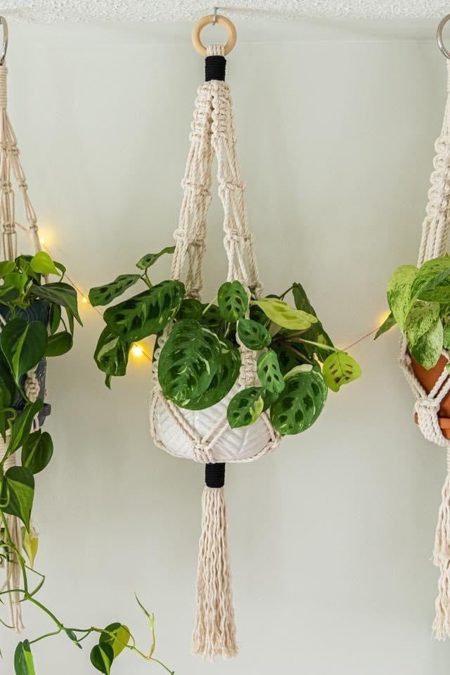 Macrame Plant Hanger DIY Kit