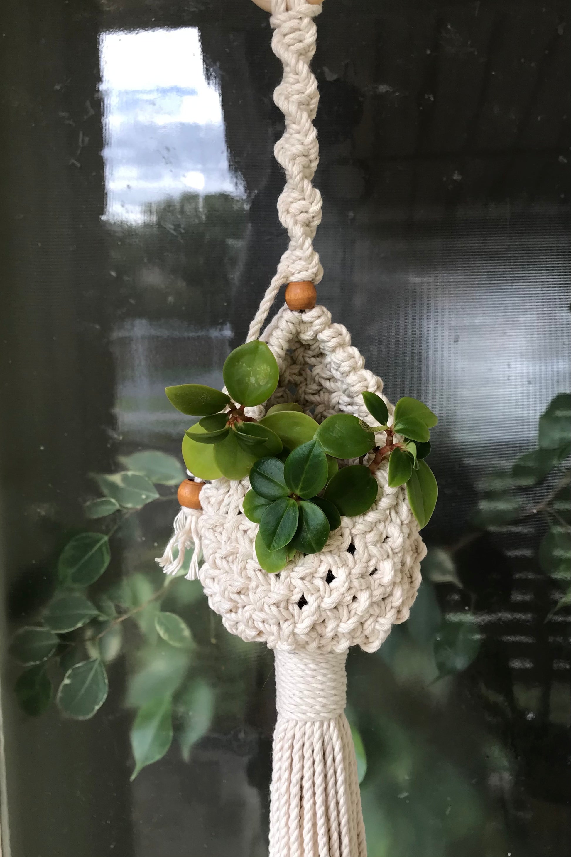 Macrame Pod Hanger DIY Kit